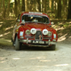 Illustration for article titled Tons Of Classic Rally Cars? Tons Of Classic Rally Cars!